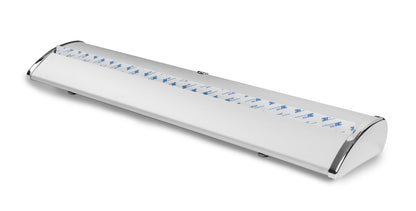 Roll Up Exclusive 150x200